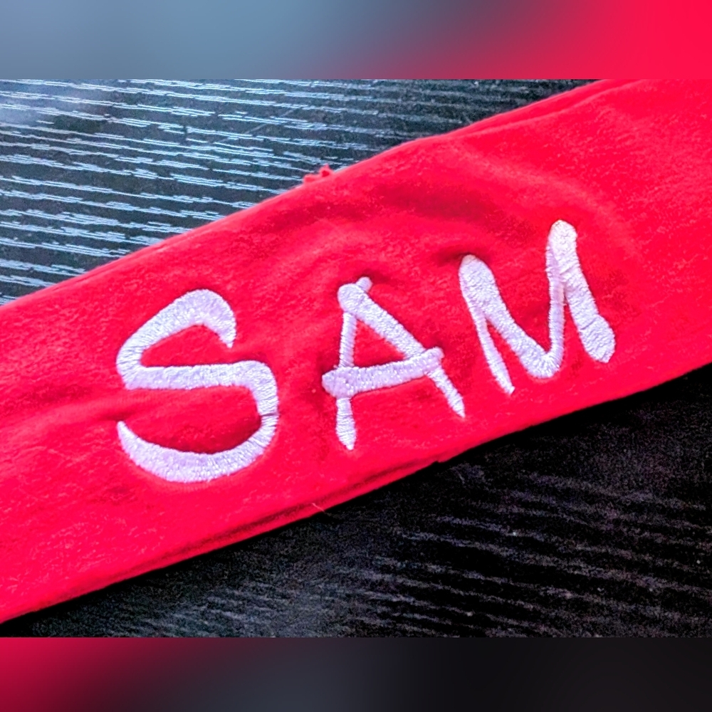 SAM - Red Headband with White Embroidery